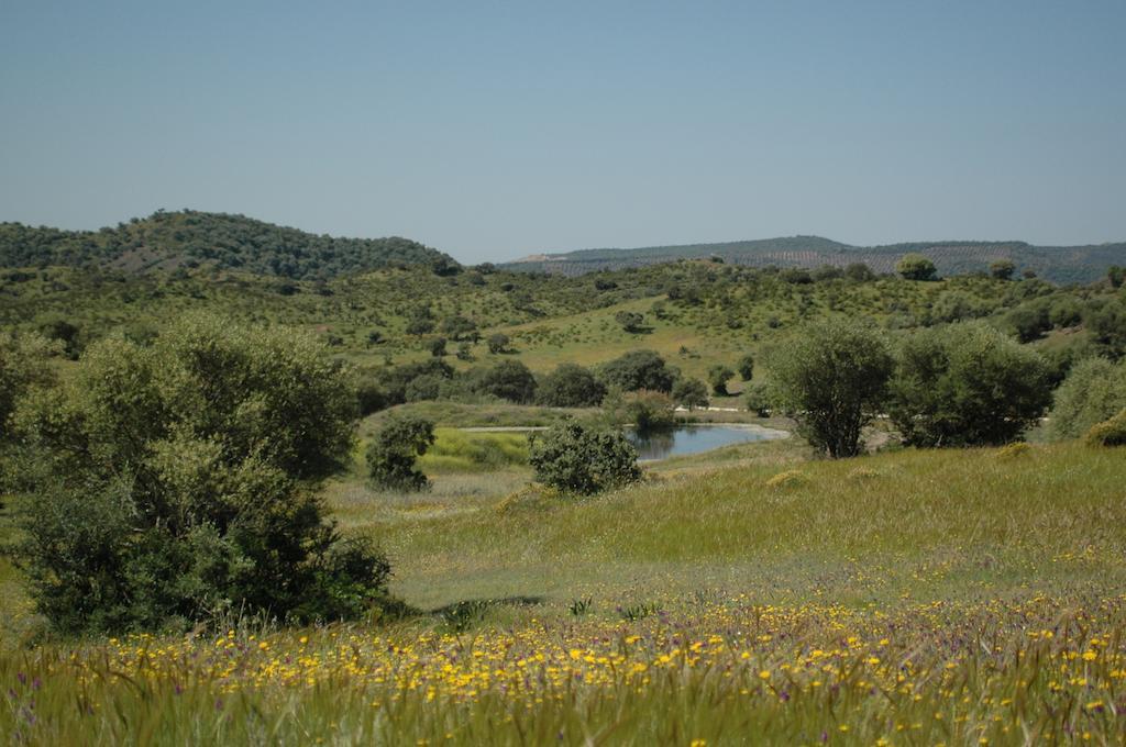 Albergue Rural De Fuente Agria Hostel Villafranca de Cordoba Bagian luar foto